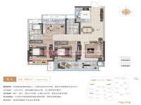 戶型圖