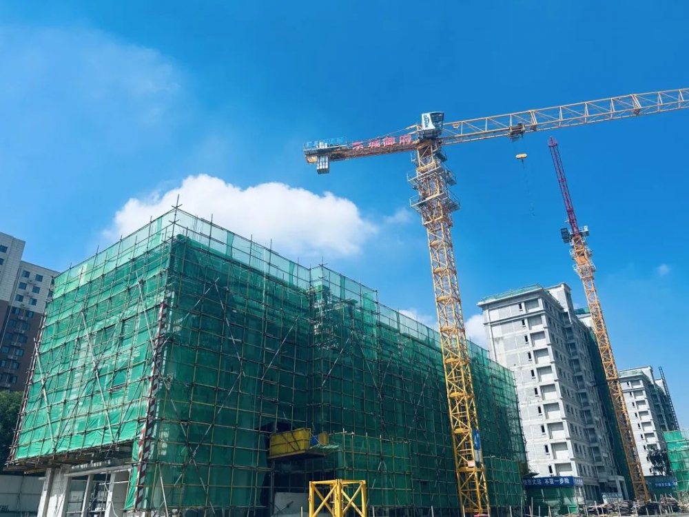 1689819251502180.jpg d16f17e0639498a9e37c6963fc7a0242.jpg